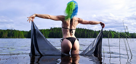 siipirikko free kostenlose kunst foto