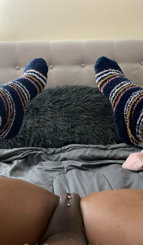 pinkkissesz exklusive kunst archiv