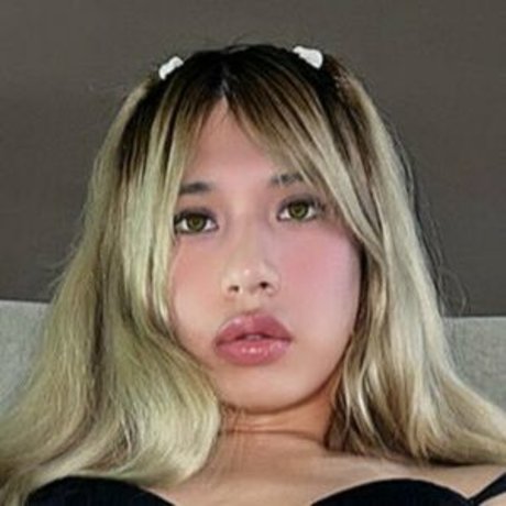 Amber Rougue nette archiv