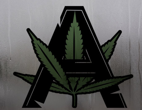 ClubArrogance pornostar kostenlose archiv