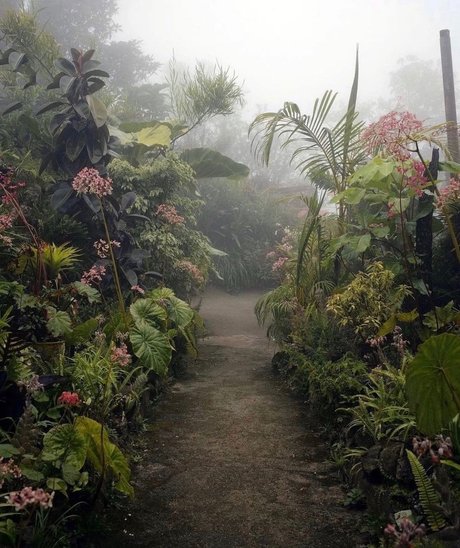 Depeche Ho Profilbild