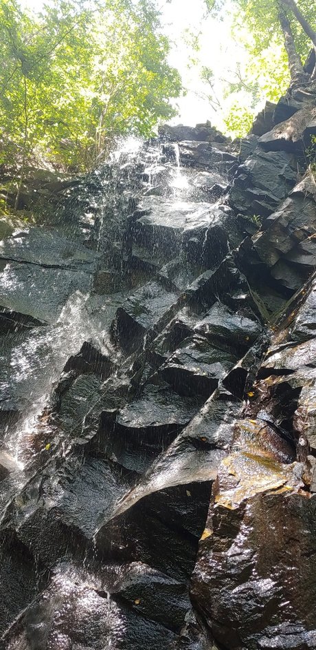 Prince Vegeta model kostenlose bilder