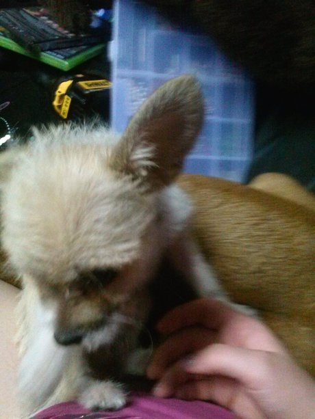 _Miss M rder_ kostenlose sexy galerien