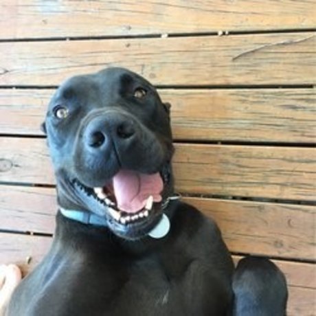 zwillingsmädchen nur fans kostenlose erwachsene galerie