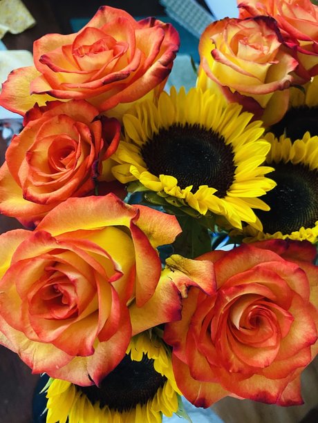 Geni xxx pornografische galerien