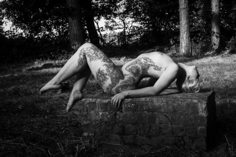 Dgin perfekte beste fotos