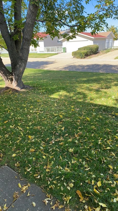 nuggies kunst pornostar bilder