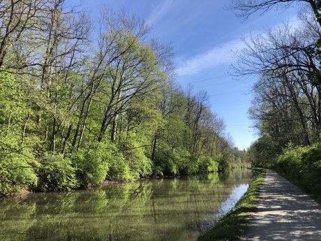 ebenholz-bikini onlyfans perfekte kostenlose archiv