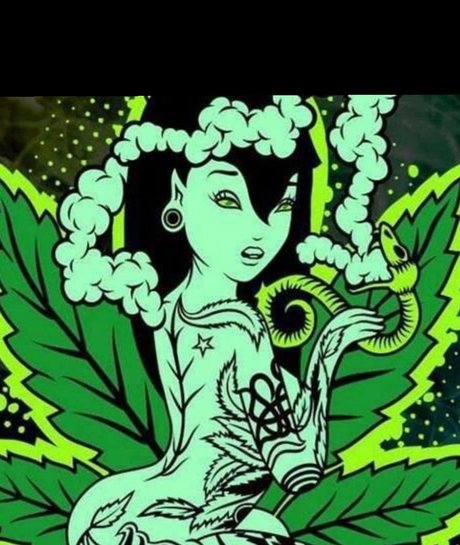 Purp Locs Lala Profilbild