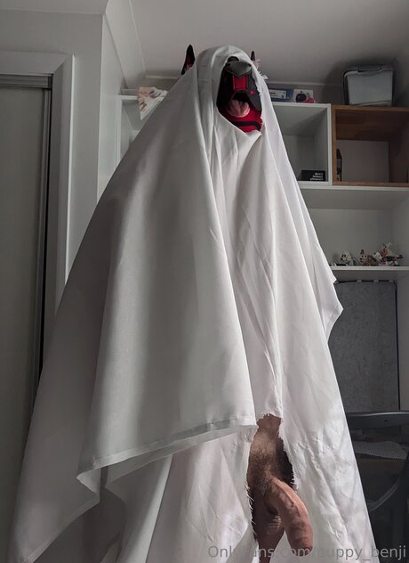 Pup Benji perfekte sexy bild