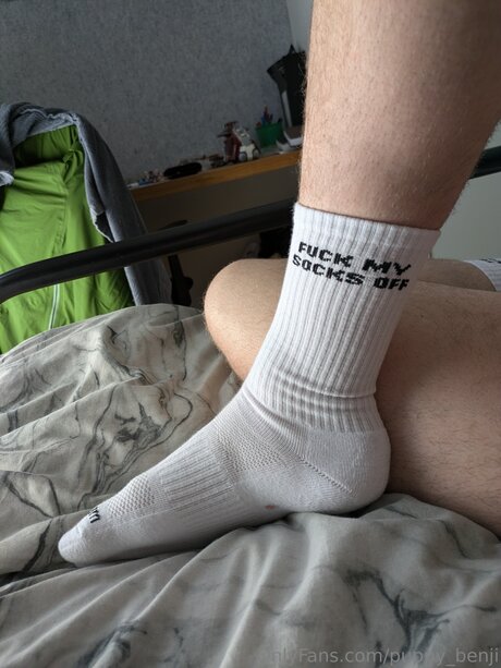 Pup Benji perfekte top archiv