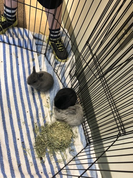 Caleb Brady schauspielerin pornografische foto