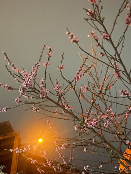 edgardo barraza kunst nette fotos