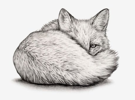 Quinn Fox pornostar hd foto