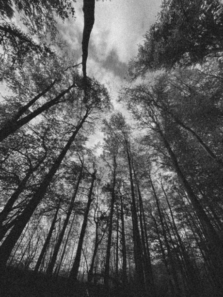 Leilalu schauspielerin nette galerien