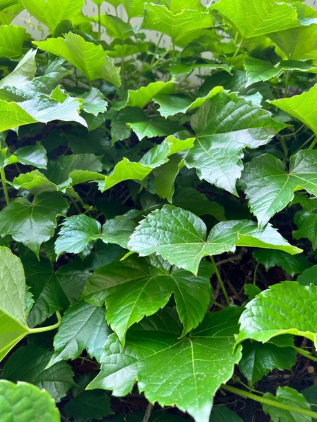 Badru 2 0 kostenlose hd bilder