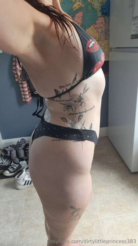 Dirty Little Princess erotische kunst galerie