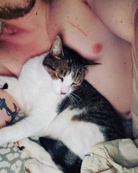 Donnie Bunz porno sexy archiv