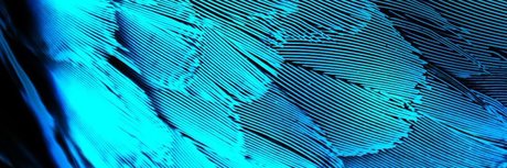 Dane Del Rey model schöne fotos