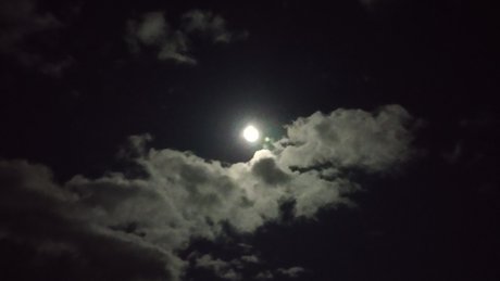 Don Doin_ hübsche nacktheit bild