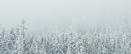 Anton Cash schauspielerin xxx foto