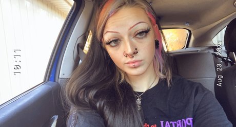 Cat_ porno schöne bild