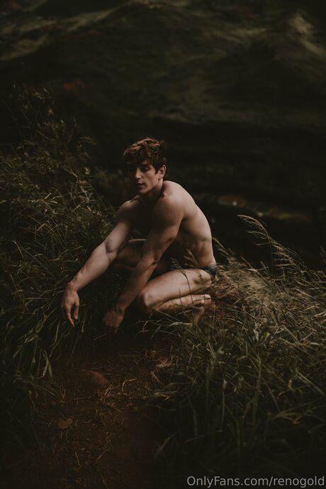 Reno Gold_ beste akt archiv