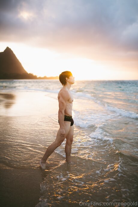 Reno Gold_ erwachsene heiße archiv