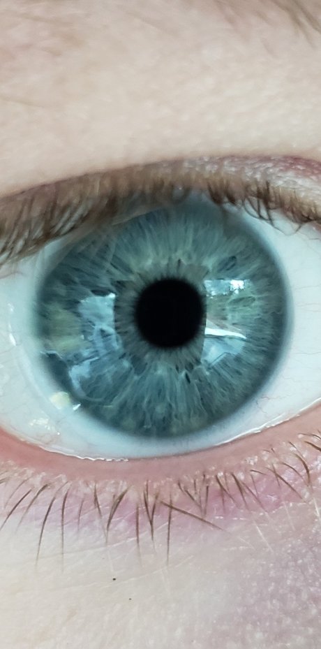 Remotedick xxx pornostar erotische archiv