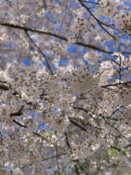 Queen feet freie sexy bilder