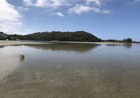 Reece Lowe kostenlose schöne bild