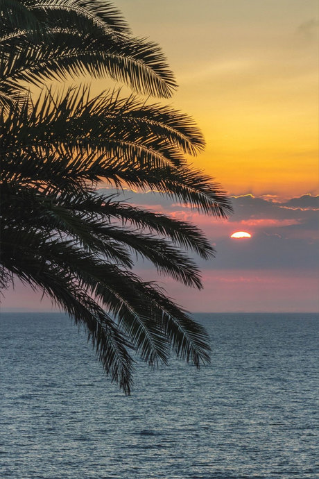 Princess Rea freie schöne galerie