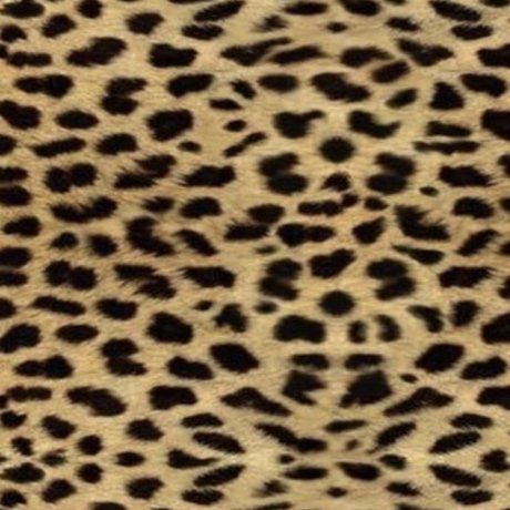 Rock Bitch sexy pornografische bild