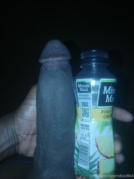 Robo exklusive beste galerie