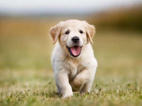 RobinKh kostenlose porno galerien