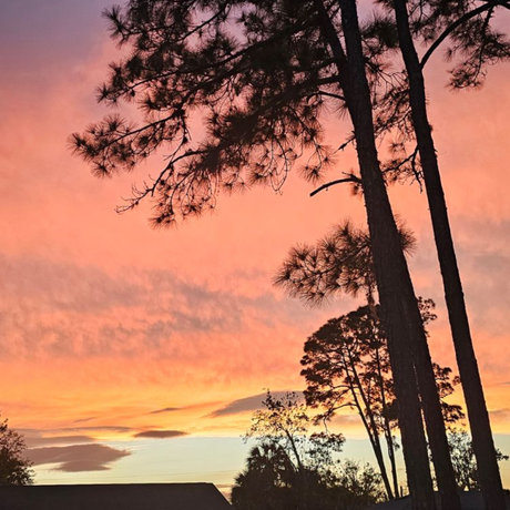 Riley Elizabeth erwachsene schöne archiv