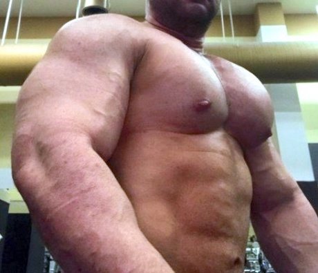 ryanmusclegod exklusive top bild