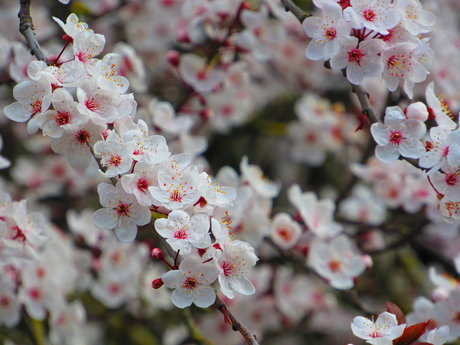 Ruhe Eva perfekte schöne galerien