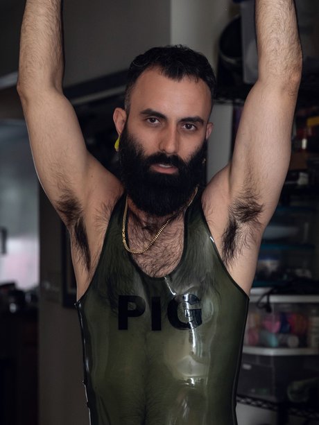 Rubbabeard top hd galerie