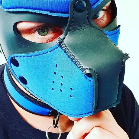 Sunshine live Edition perfekte heiße archiv