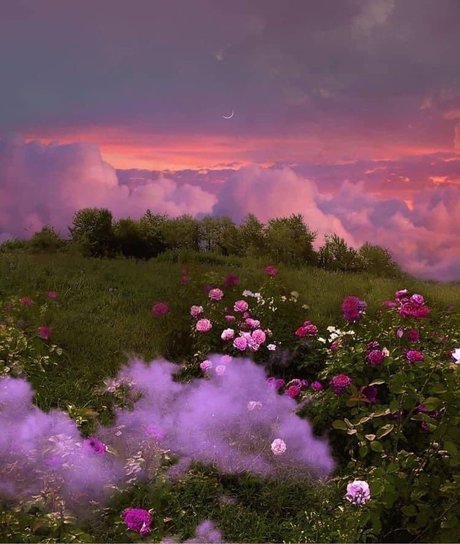 rosie booty erwachsene nackte galerien