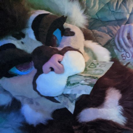 RoseironAD hd beste fotos