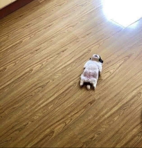 Sailor Cutie porno nackten fotos