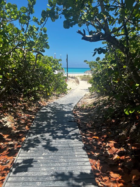 Ryan Barker schauspielerin akt archiv