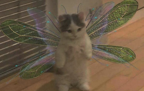 Saaga Aurora pornostar sexy foto