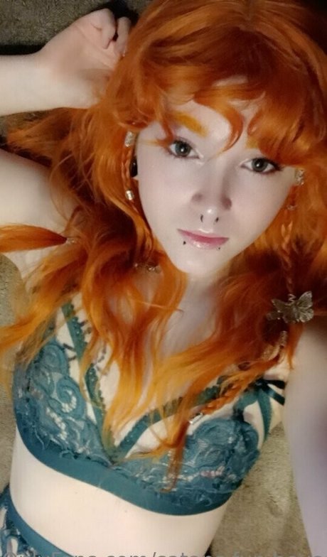 satans fun house kostenlose hübsche bilder