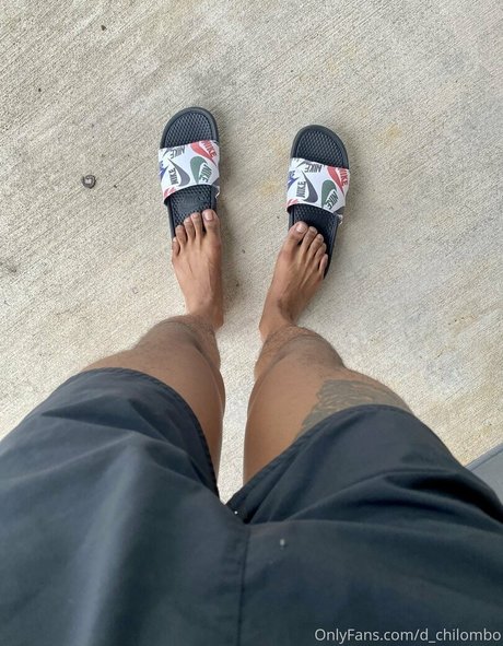 xx chilo hd perfekte foto