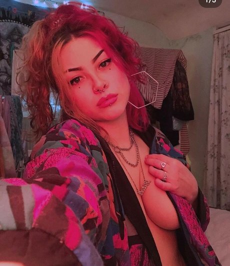 neferkitti exklusive schöne galerien