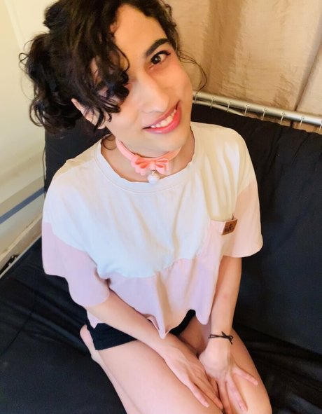 SheepIRL model heiße bild