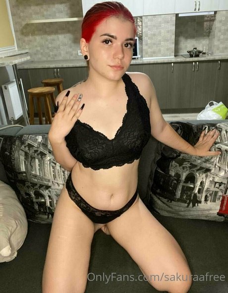 sakuraafree freie exklusive bild